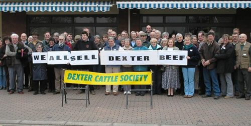 Dexter Beef