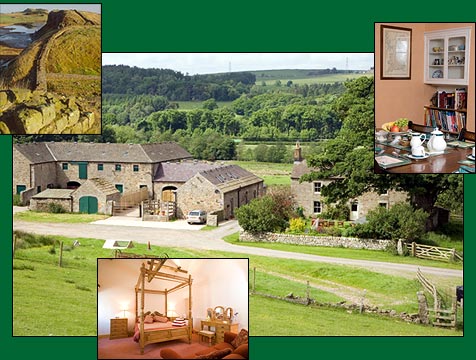 Farming UK | Wydon Farm - Northumberland | Farm Rentals - B&B