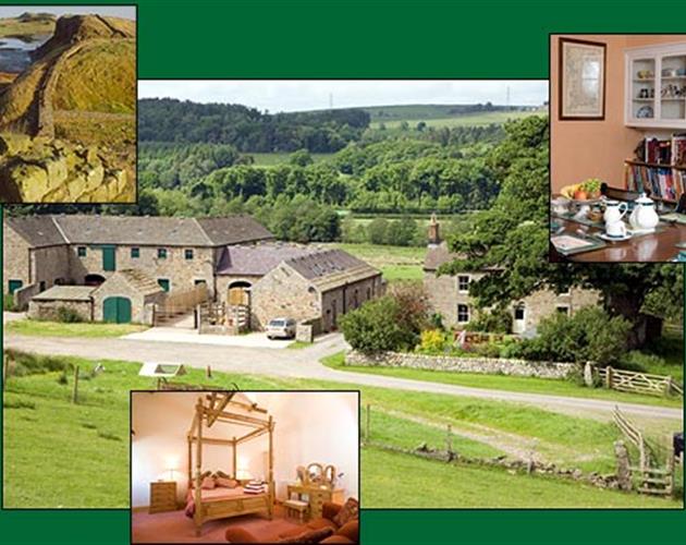 Farming UK | Wydon Farm - Northumberland | Farm Rentals - B&B