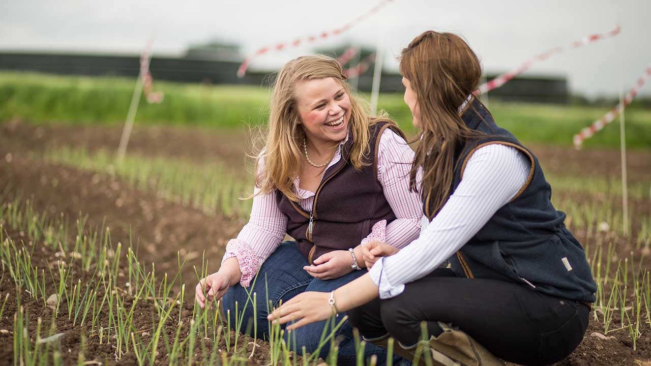 ARTIS: Disease management in wheat, Harper Adams University - Farming UK