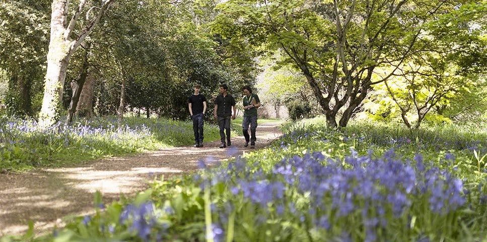 Agriculture Certificate, Bicton College - Farming UK