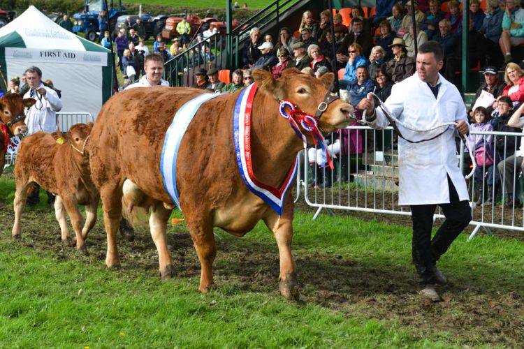 Westmorland County Show FarmingUK Shows