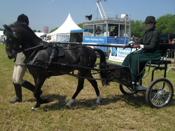 Caerwys Agricultural Show - FarmingUK Shows