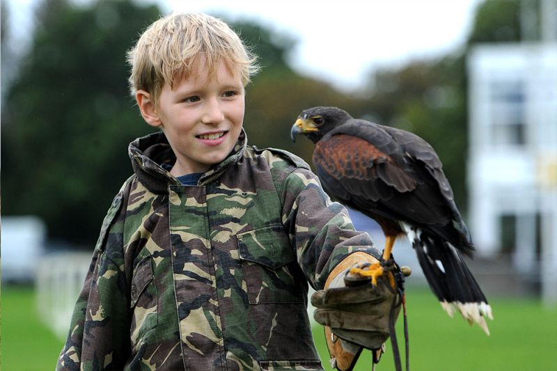 South of England Autumn Show - FarmingUK Shows