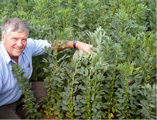 Theo Labuda, managing director of LS Plant Breeding Ltd