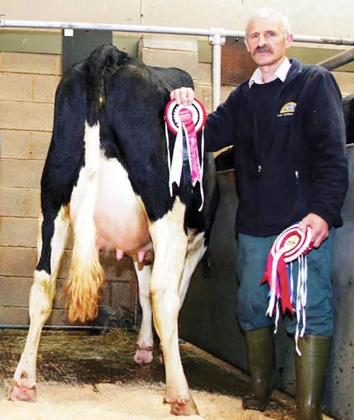 Robert Crisp, of Nelson House, Calton, is Craven Cattle Marts’ Stock Person of the Year for 2011