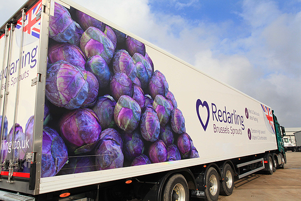 New distinctivekly branded Redarling lorries will be delivering Staples' sprouts this season