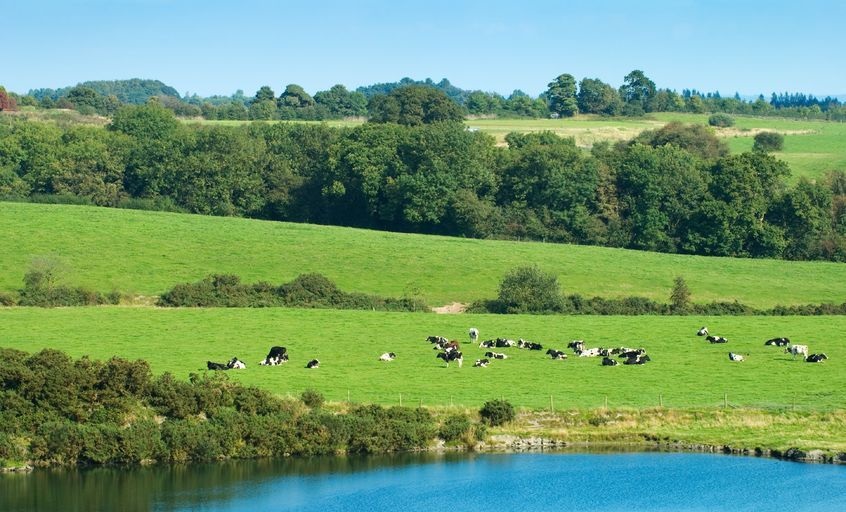 The pioneers will work together to make 2016 the Year of British Food. A series of events throughout the year will be backed by the launch of a new Food is GREAT campaign to celebrate the very best in British food across the country and overseas