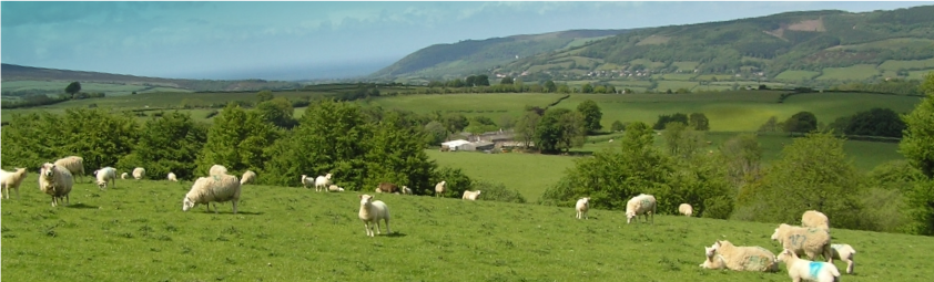 “Farmers here in Britain, and indeed around the world, are on the front line of climate change. We are among the first to see the impacts of extreme weather events such as flooding and drought in our daily work" says the NFU