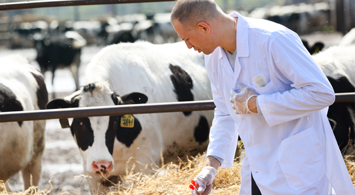 MEPs want vets to do everything possible to prevent and halt outbreaks of diseases