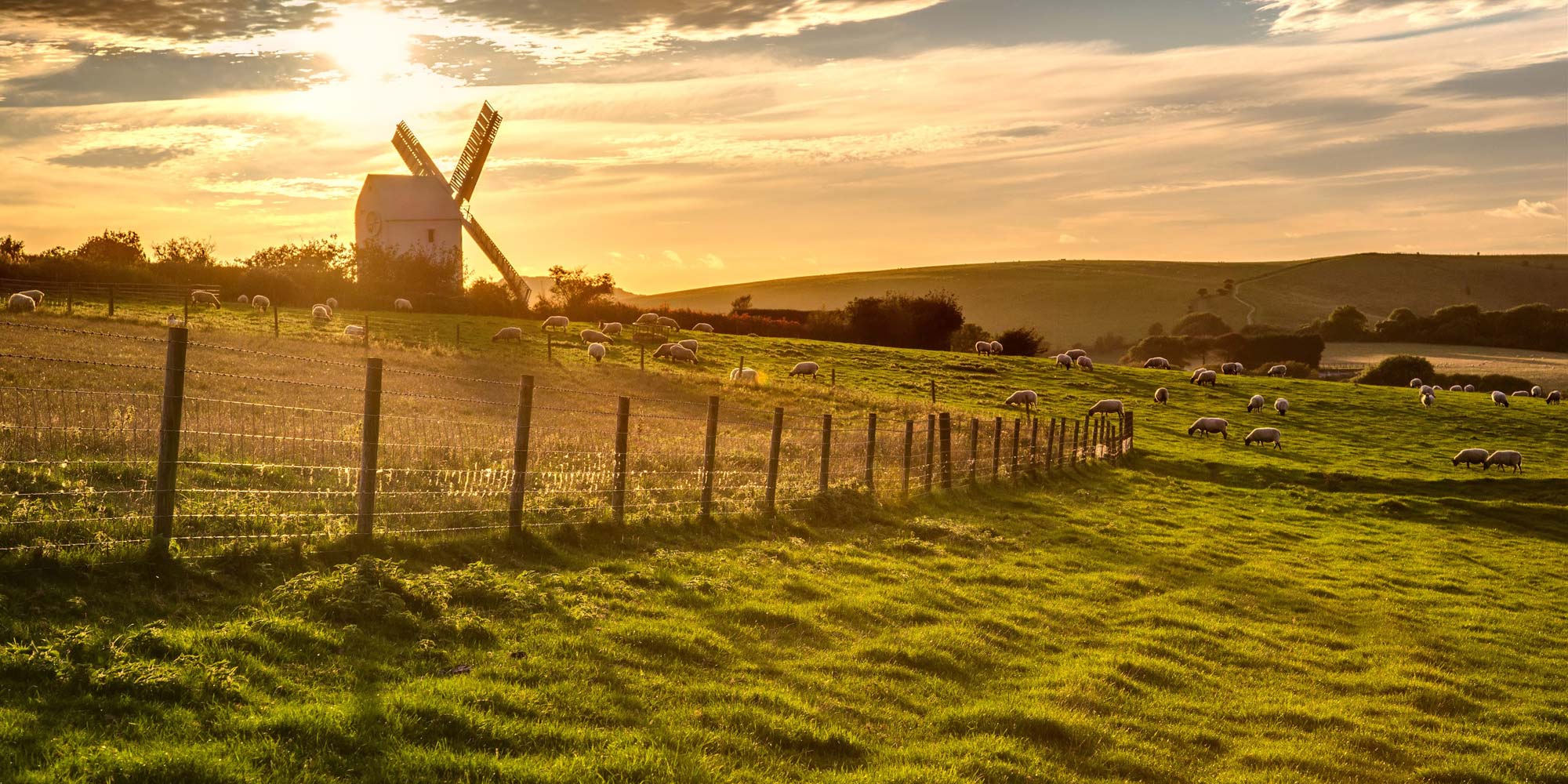 South Downs National Park