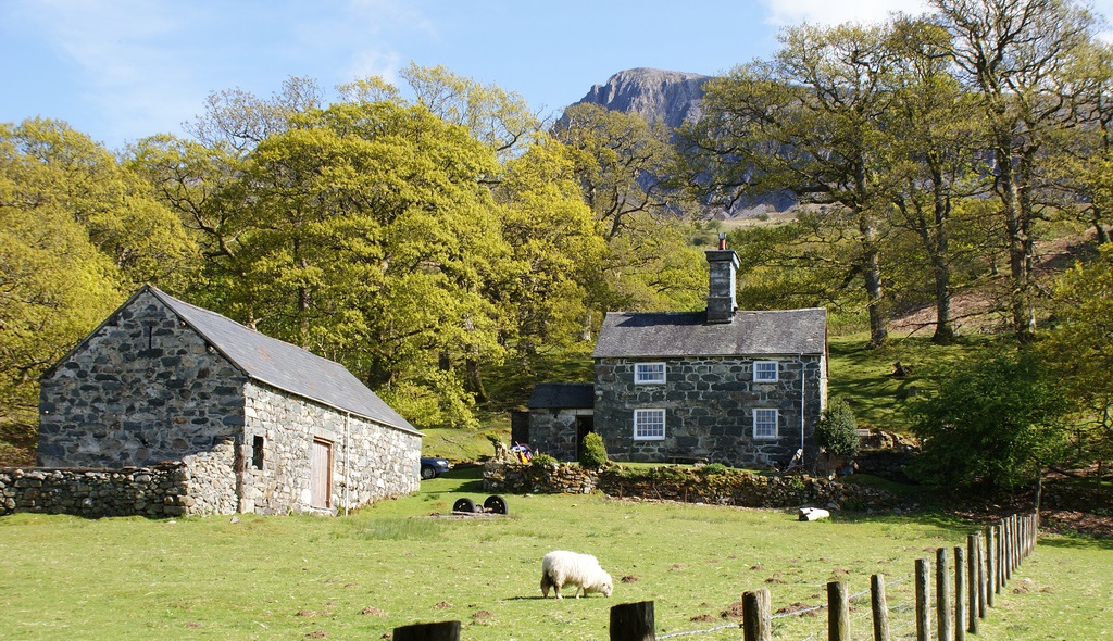 In the majority of cases, the Basic Payment Scheme counts for well over half of farm income for farmers in Wales