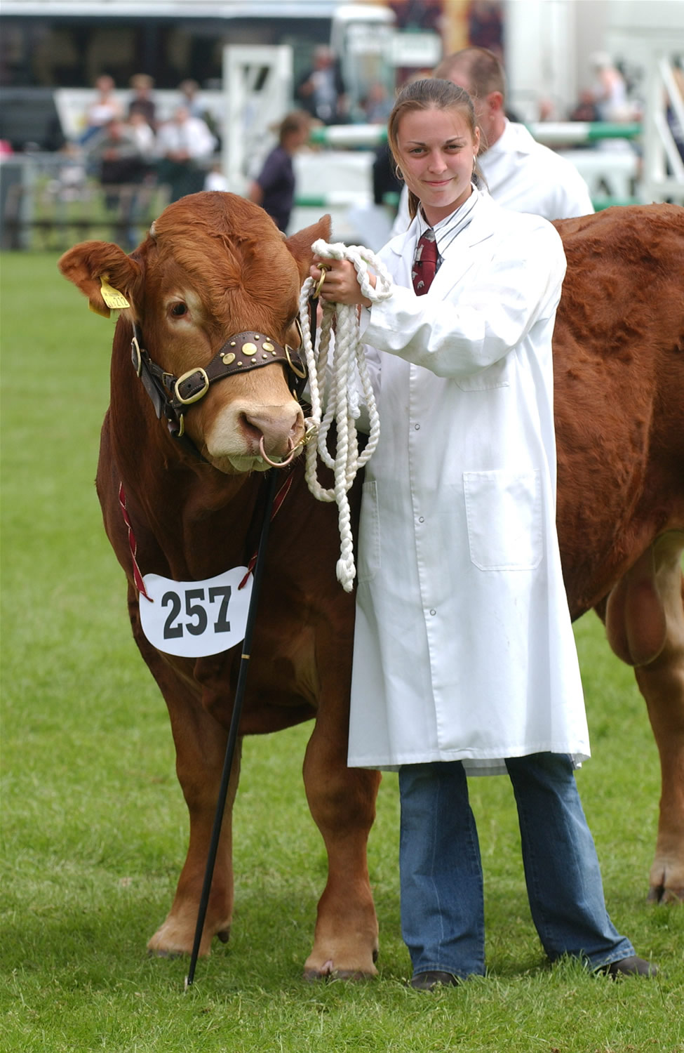 South of England Show