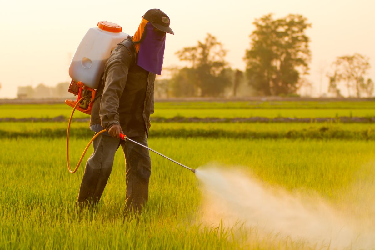 FAO and WHO offer road map to deal with Highly Hazardous Pesticides