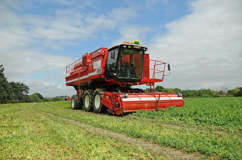 Field visits – farmers want you to experience and see the harvest