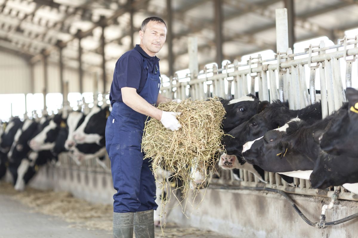 Jobs in the dairy sector have not yet been impacted by Brexit, but industry leaders warn of a negative impact as UK moves closer to leaving