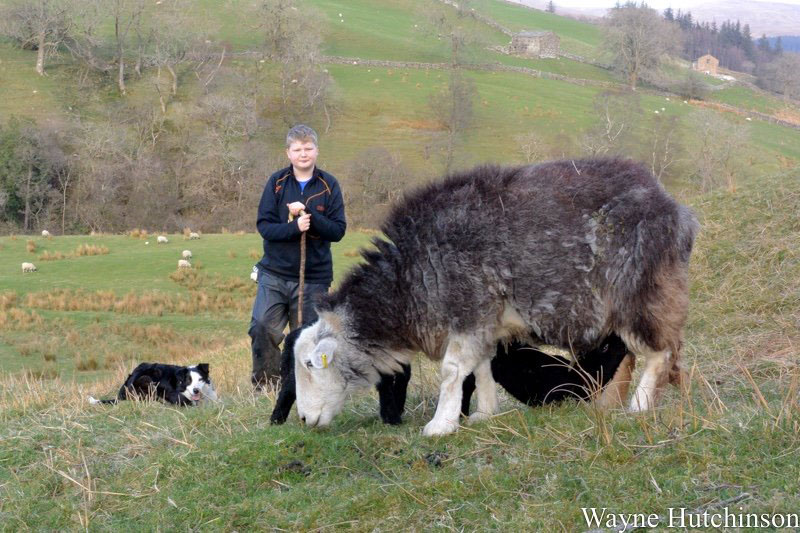 Young Cumbrian farmer, Sam Hutchinson, raised £200 to help farming families affected by flooding