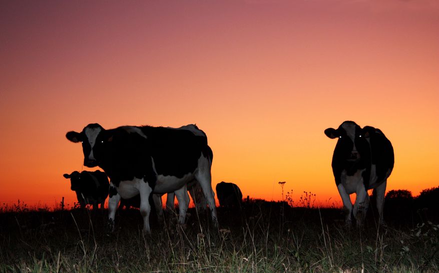 The package, from EU funds, is to support farmers in the face of ongoing market difficulties, particularly on the dairy market