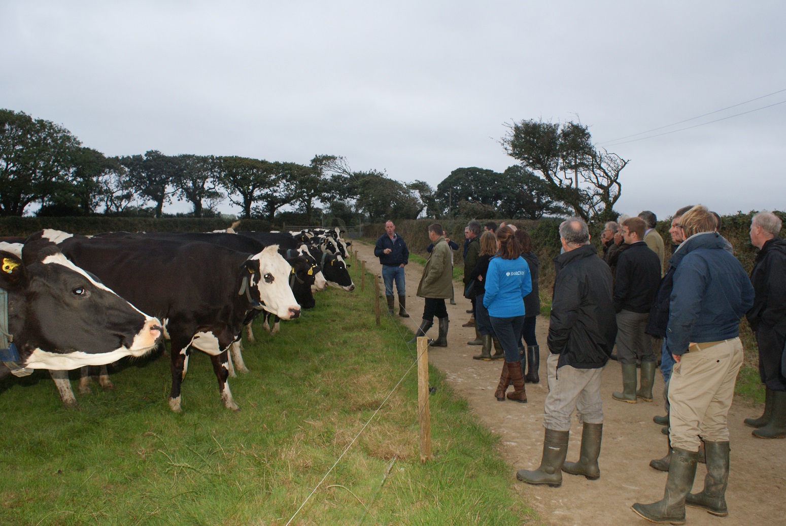 Farm walk