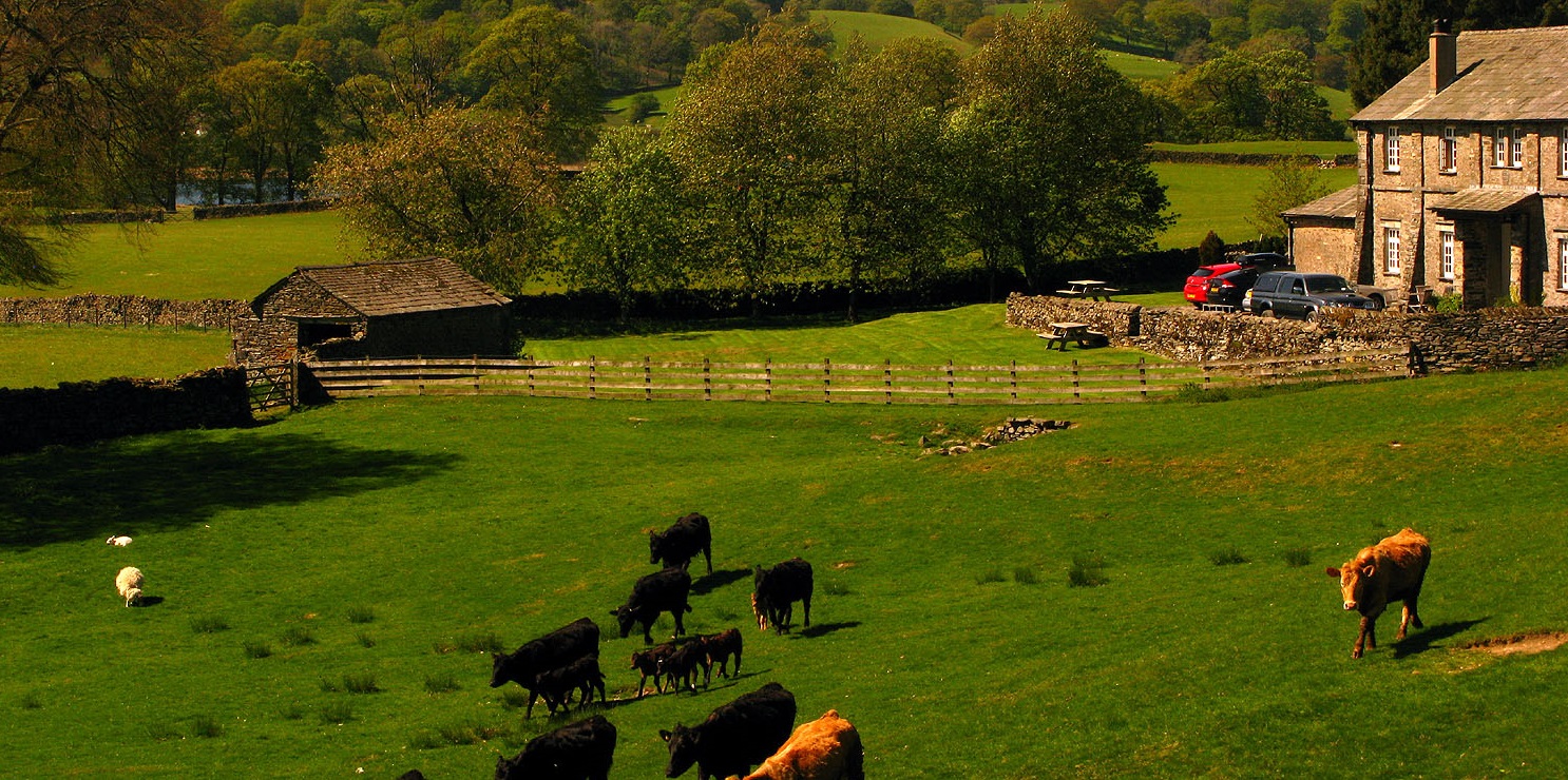 Uk farm. Ирландская ферма. Сельское хозяйство Ирландии. Ферма в Ирландии. Ферма в Англии.