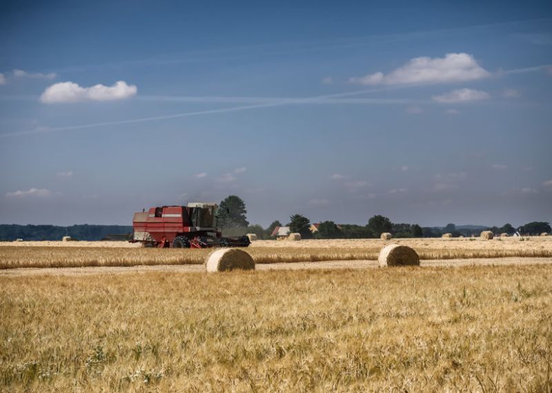 Harvester on a field of barley on Hjarnoe Jutland, Denmark