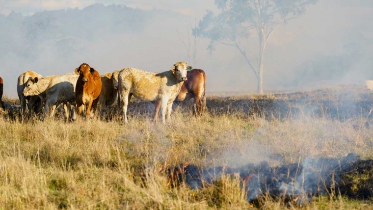 The Australia Farming Relief Fund will provide goods and services directly to those farmers affected by the bushfire crisis