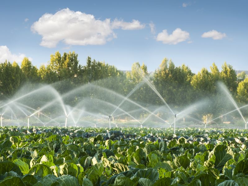 Growers 'need a fair share' of the nation’s water resources, the NFU has said following the launch of a new irrigation water strategy