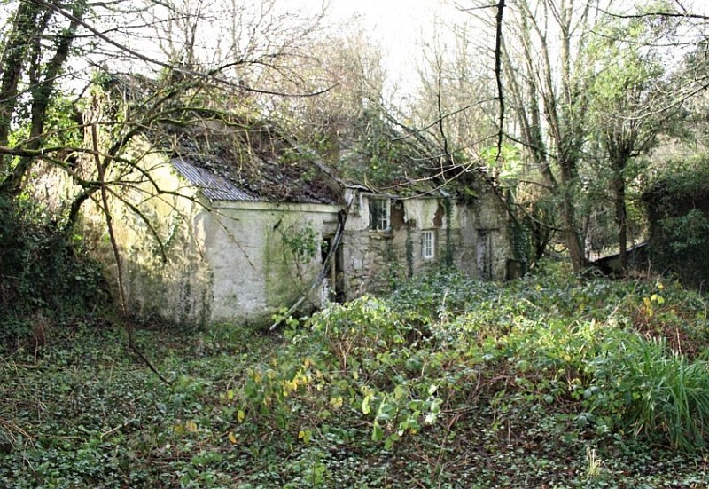 The derelict farm last operated decades ago (Photo: Stags)