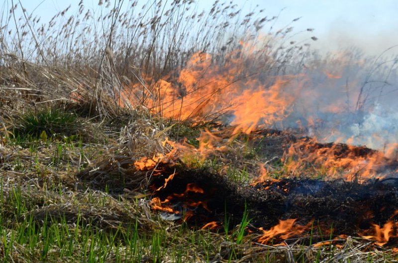 Wildfires have the capability to devastate farmland as well as the lives of people living and working in rural communities