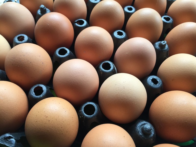  Farm Gate Prices For Eggs Rise Significantly During 2020 FarmingUK News