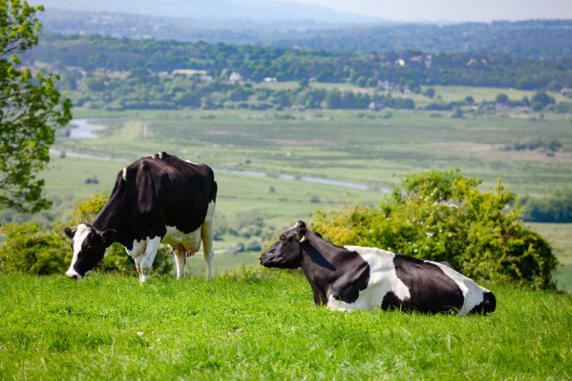 Industry initiatives like Februdairy celebrate and promote all aspects of British dairying