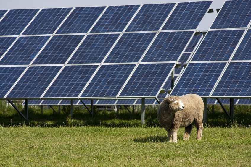 Solar projects present significant opportunities for farmers and landowners looking to diversify, the report says