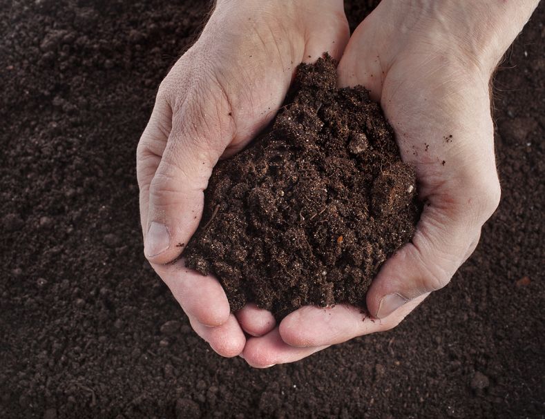 The government has reaffirmed its commitment to soil health in the development of future farming schemes