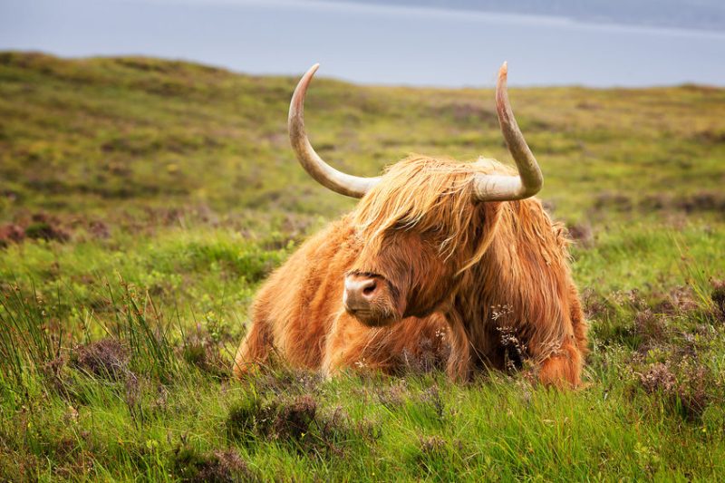 The plan outlines how farmers can meet the challenges of climate change while maintaining food production