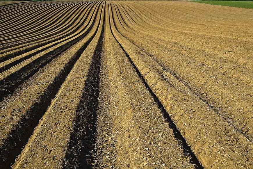 Carbon markets are set to provide farmers and landowners with substantial new income streams
