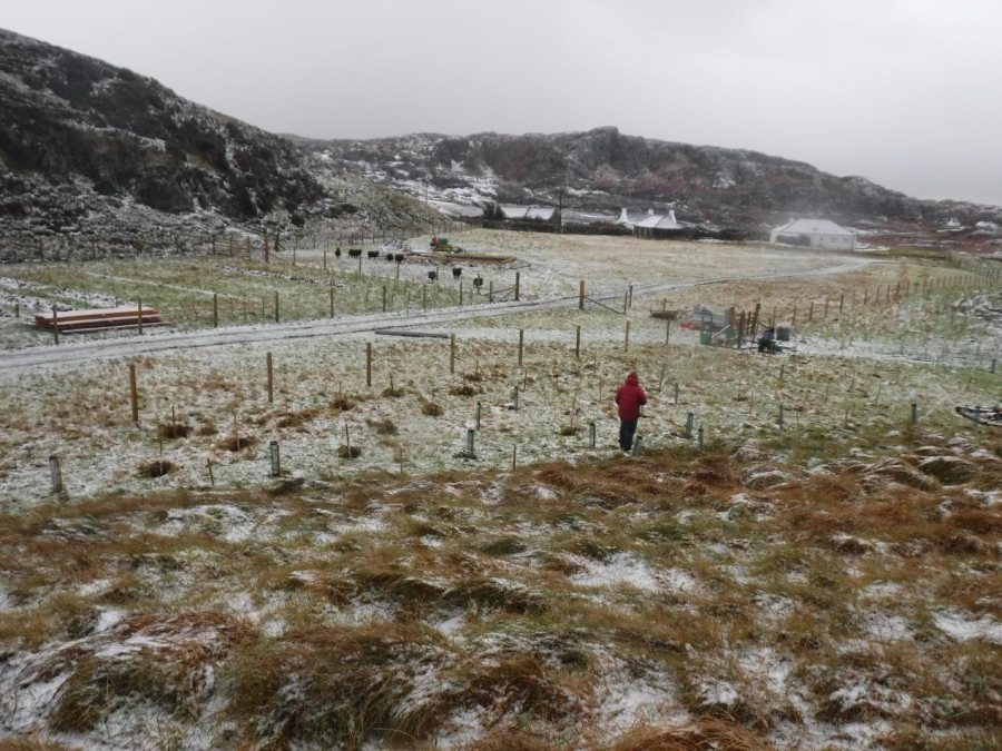 The couple heard that there were community-owned crofts on the island