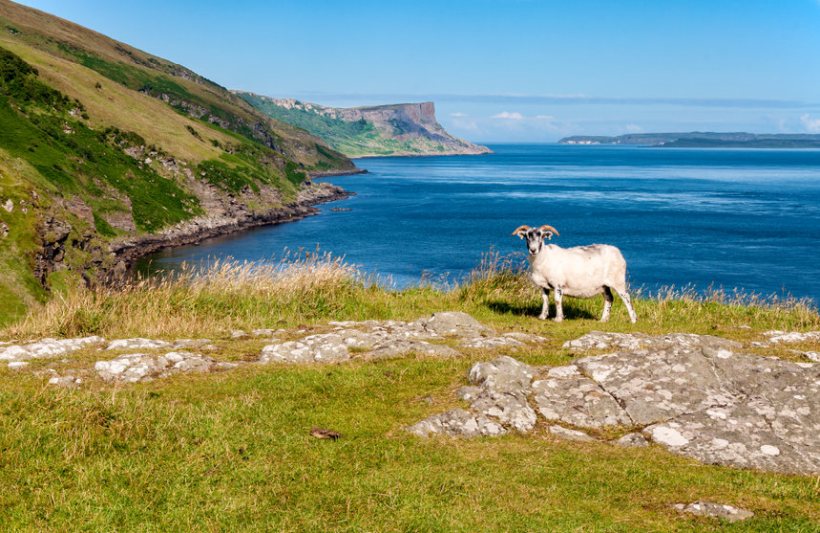 Northern Ireland will redefine its agricultural policy for the first time in almost 50 years