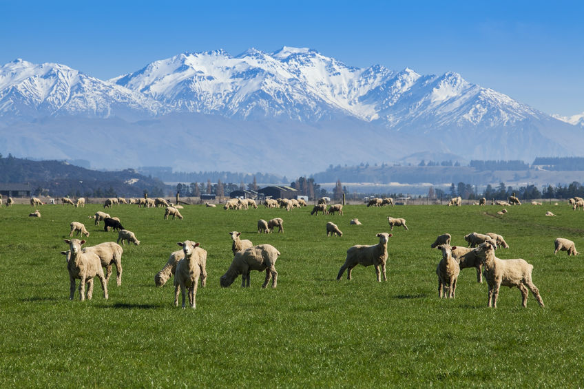 The UK government is close to signing a new post-Brexit trade deal with New Zealand