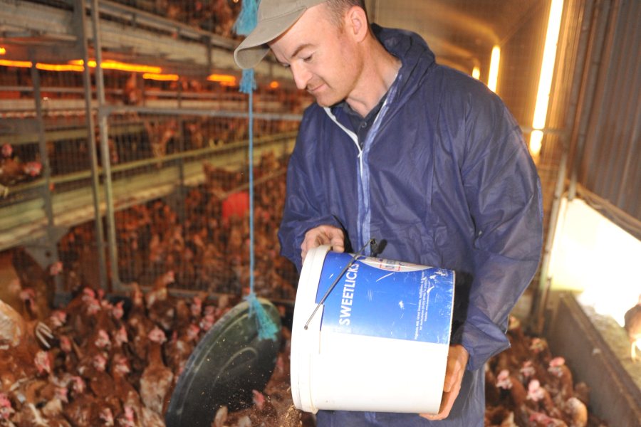 The Williams family, who farm in Powys, have been trialling a new approach to better optimise shed environment