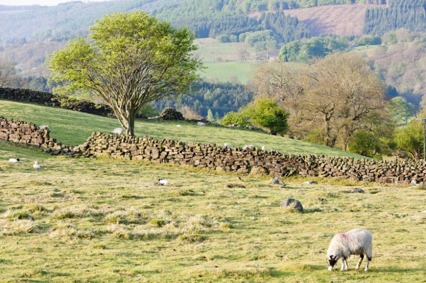 Farmers in the North Yorkshire Moors are working to restore habitats and deliver flood defence improvements