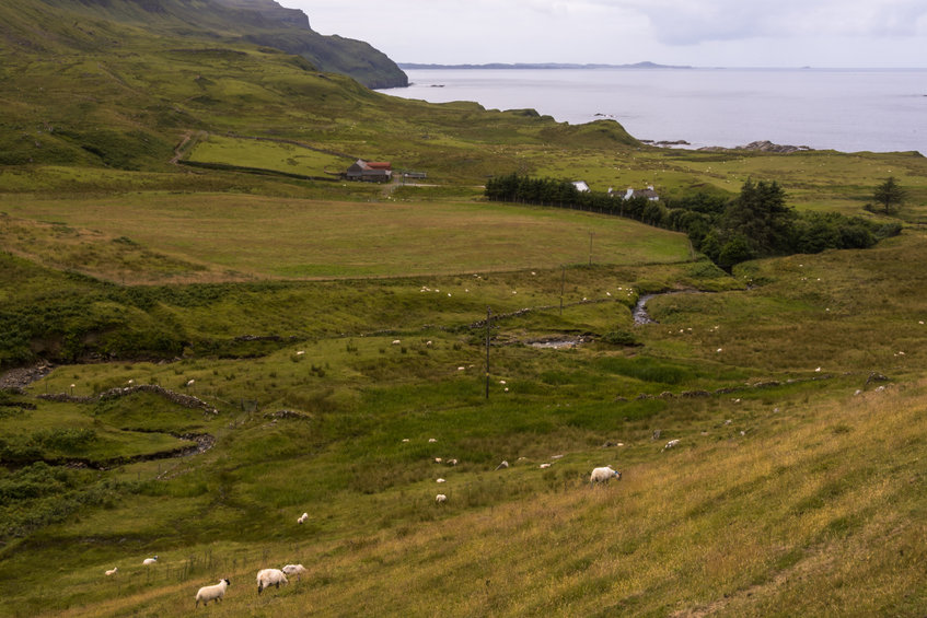 The research is an opportunity to develop a comprehensive assessment of rural land market activity in Scotland