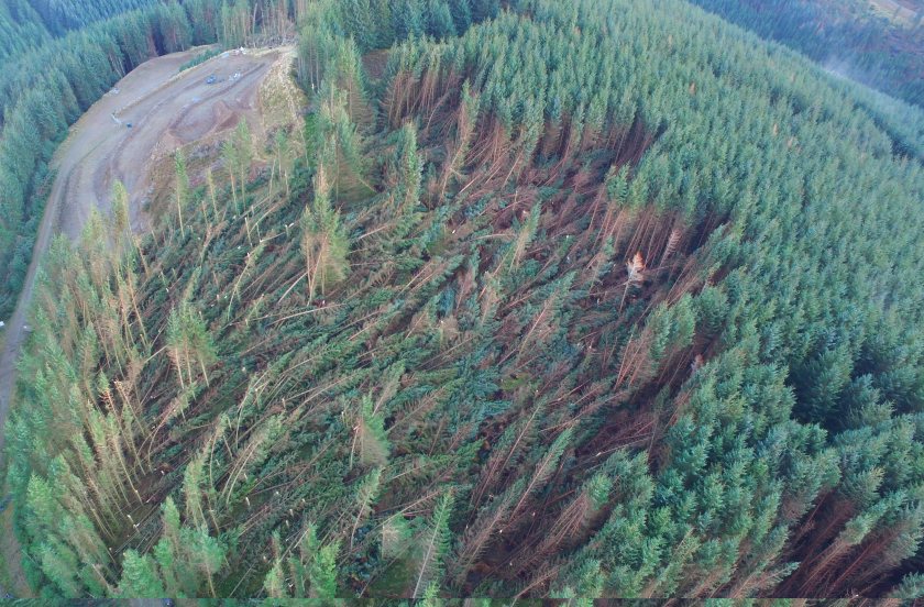 Farmers, landowners and forestry groups are working together to recover trees following Storm Arwen