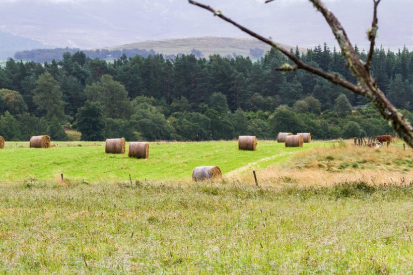 In the next few days, applications to several important Scottish agri-environmental schemes will close