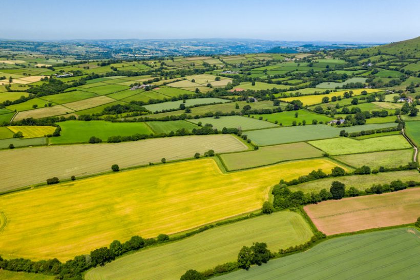 Farmland values across Britain are forecast to rise as multiple uses for the finite resource compete, Savills says