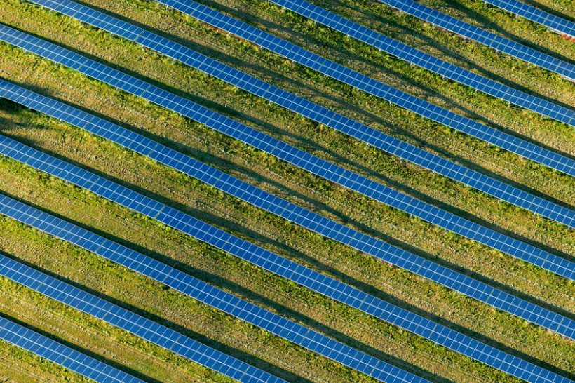 The petition warns that the growing number of solar farms will impact the availability of productive farmland