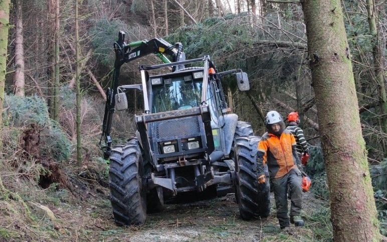 The group will prepare advice on what small woodland owners and farmers need to do to clear the fallen trees