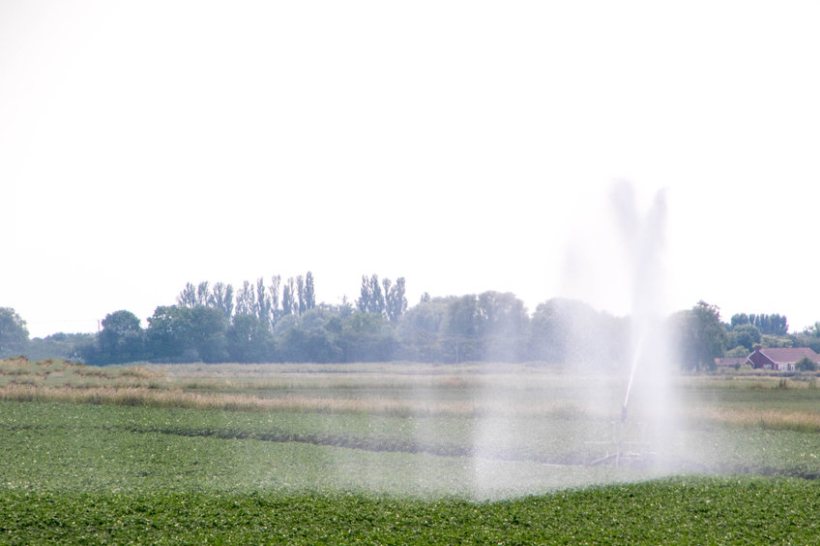 The market for water was deregulated in 2017, allowing farms to choose their water supplier