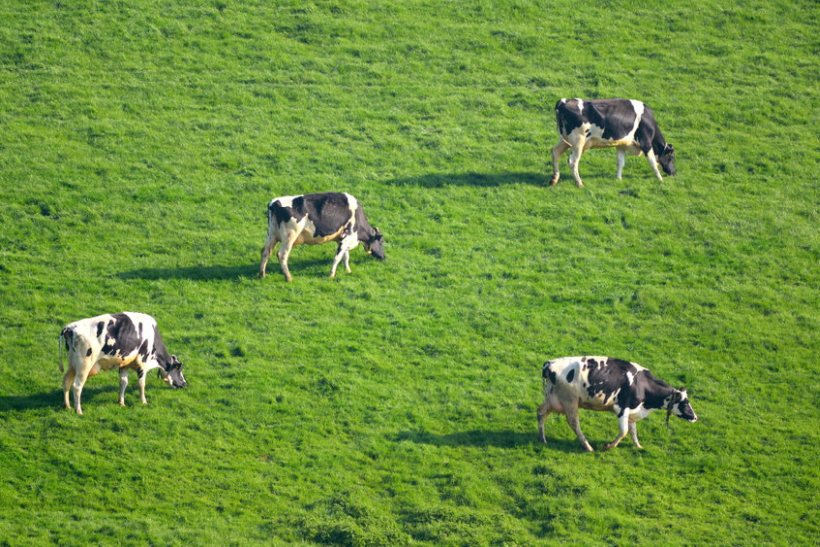 SRUC has developed a new data resource based on data from its globally renowned Langhill dairy herd