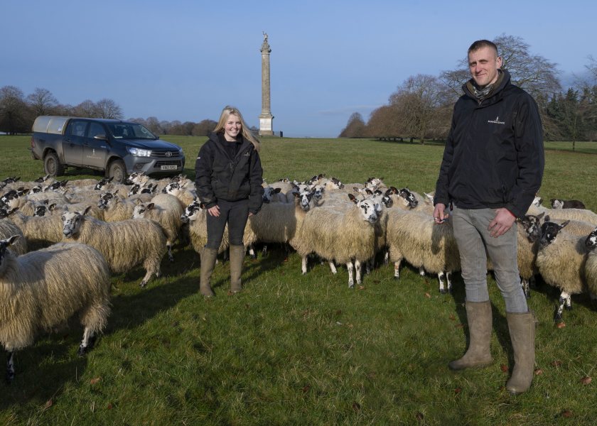 Ellie will see her first lambing season working alongside Blenheim’s full-time shepherd, Tom Locke