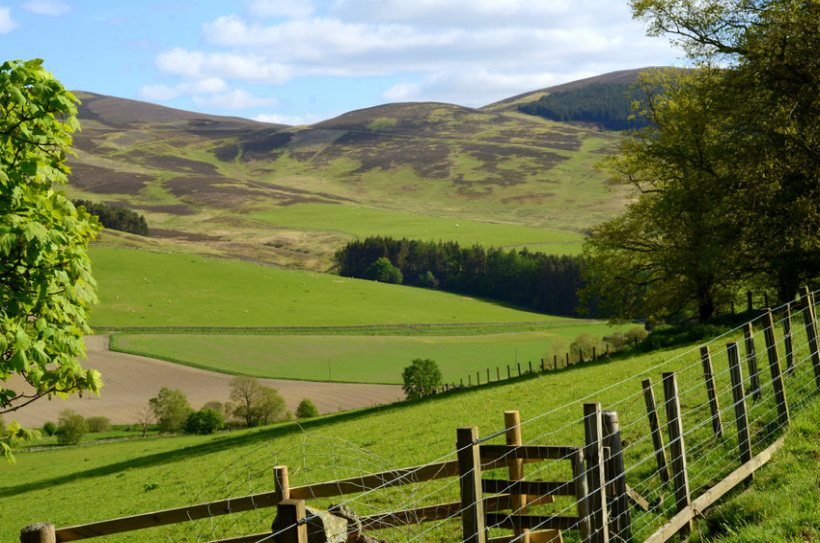 Analysis of data shows unprecedented levels of interest in farmland in Scotland during the past 12 months